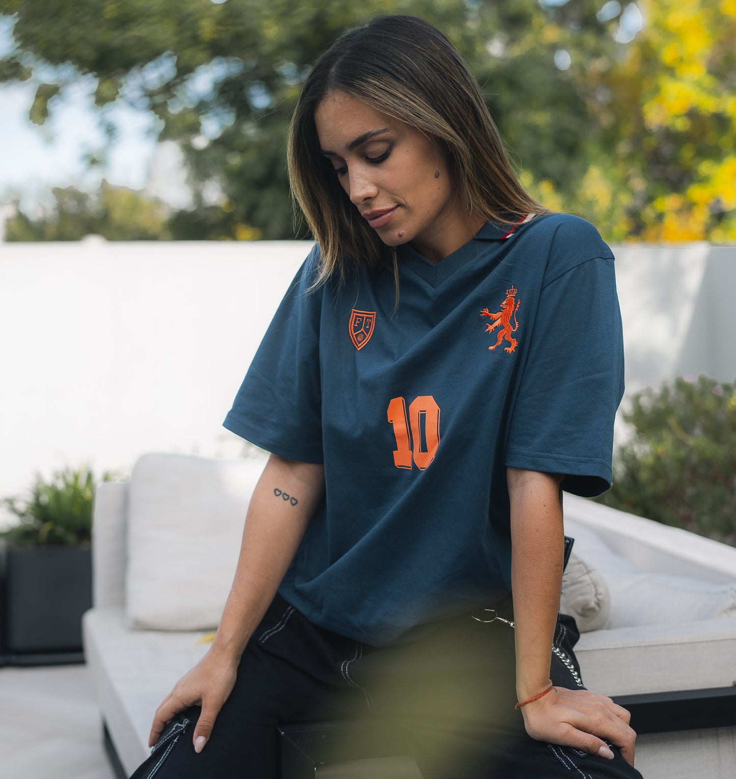 Classic Netherlands De Leeuw