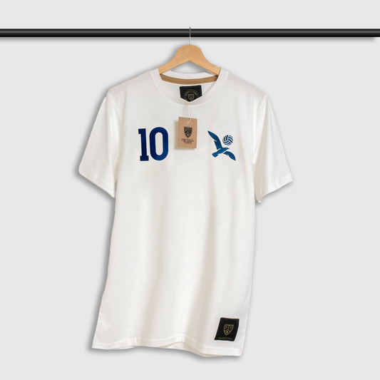 The Seagull 10